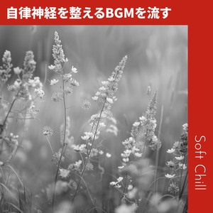 Renaissance of the Soul