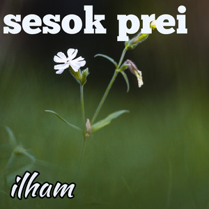 Sesok prei