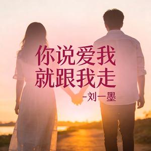你说爱我就跟我走