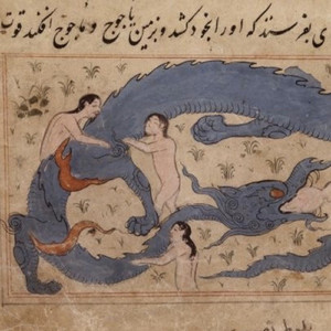 Whats Brackin Shawty