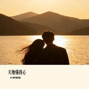 天地懂我心 (Cover 铁柱 & 林雪儿)