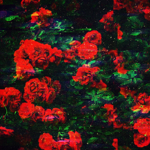 Snowdrops & Primroses