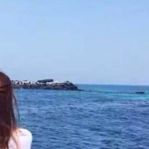 巧妙的避开了所有 (6)