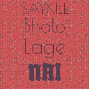 ভাঙ্গে দিলি ভালো বাসা