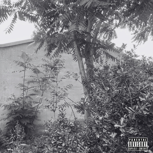 [FREE]oldschool老派地道“崩拜”说唱伴奏