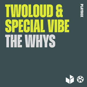 The Whys (Robin Stoll Remix)