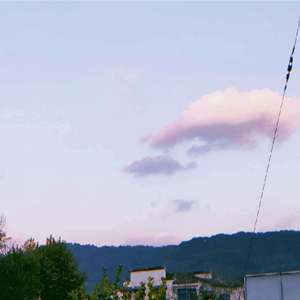 夏至仲夏(Prod by.ChunLi128)(feat.Z$T)