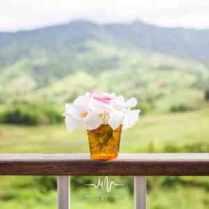 曲倾城梦 (佛学古筝)