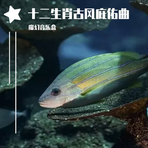 龙之古风庇佑曲