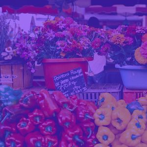 一尘不染商店印象数