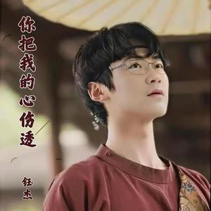 你把我的心伤透（男声版） 伴奏
