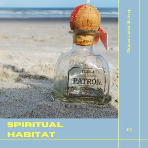 月光洒下的宁静 (悠远)