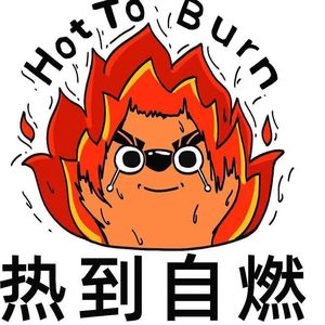 热得炸了2.0