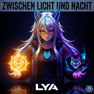 Zwischen Licht und Nacht