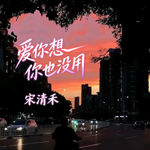 爱你想你也没用
