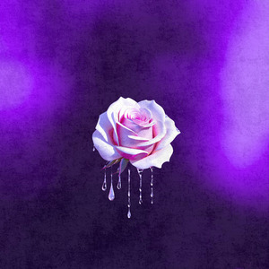 Choram as Rosas