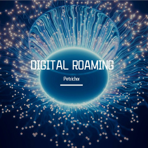 Digital Roaming
