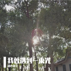 我曾遇到一束光片段