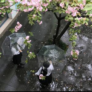 我爱的是爱我的你