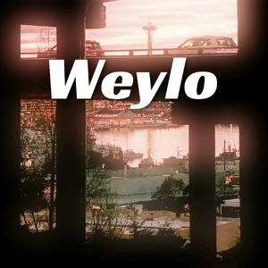 [不免费]--Weylo--Melancholia Afrobeat Type Beat