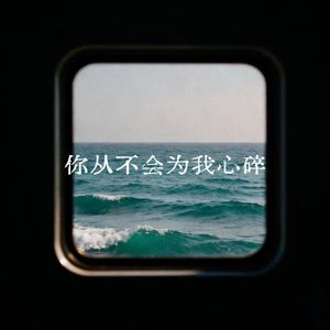 你从不会为我心碎