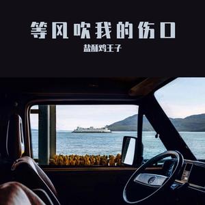 等风吹我的伤口demo