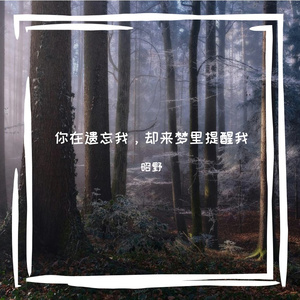 你在遗忘我，却来梦里提醒我