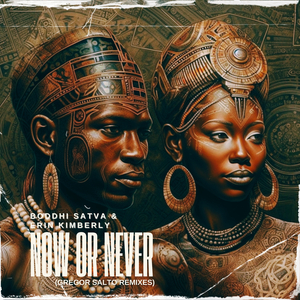 Now Or Never (Gregor Salto Radio Edit)
