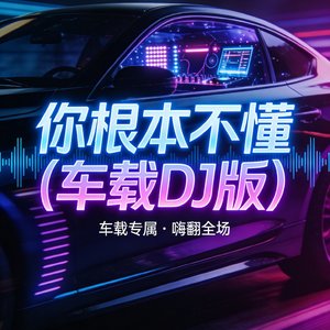 你根本不懂（车载DJ版）