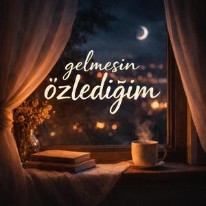 GELMESİN ÖZLEDİĞİM