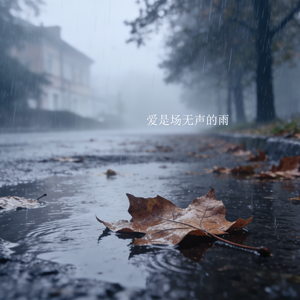 爱是场无声的雨