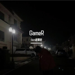 GameR(prod.请你尊重猫咪)