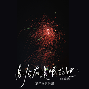 总会有遗憾的吧(破碎版)