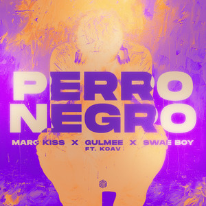 Perro Negro