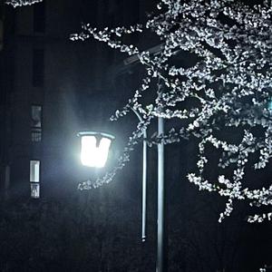 Love44（Prod by FRESH_ye）