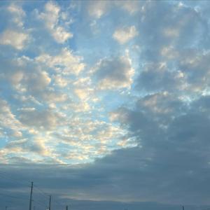 THE M!DDLE (feat. Fishcakes)