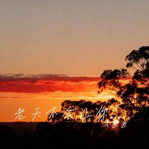 老天不会让你白走每一步 (Cover 王佳音)