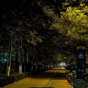 预谋（抖音热门版）