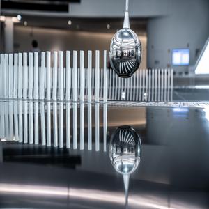 Reaction Of A Disaster