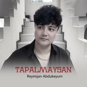 tapalmaysan