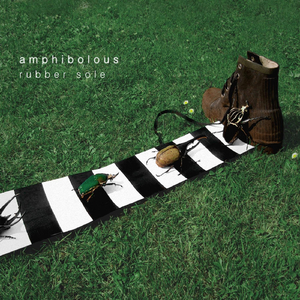 Ringo Starr Was Cleaning His Dog With a Brush When It Turned Black and Vanished