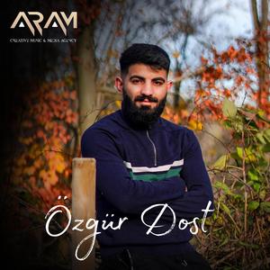 Bülbül Havalanmış Yüksekten Uçar