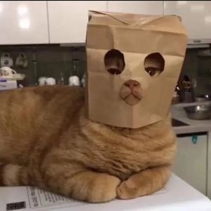 让泪化作相思雨