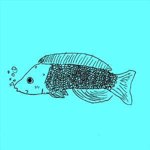 Fish Nap