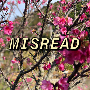 Misread