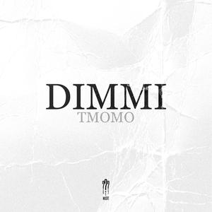 DIMMI