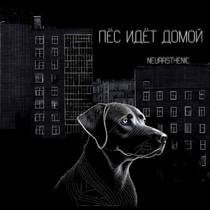 Добрые морщины