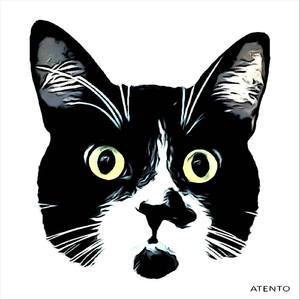 Não