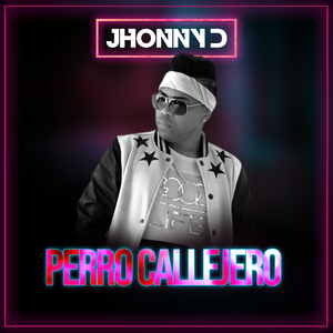 Perro Callejero