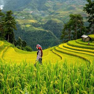 คิดถึงเล นาและป่าเขา